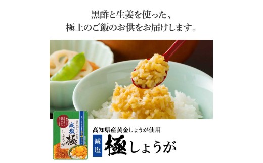 減塩味付け極しょうが110g×5袋 - 減塩 しょうが ショウガ 生姜 生ふりかけ 坂田信夫商店 黄金しょうが 高知 国産 料理 おかず 調味料 ご飯のお供 混ぜご飯 刻み生姜 健康 話題