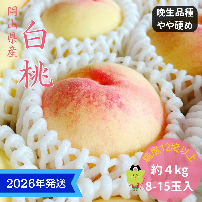 【2026年先行受付】 白桃 特秀 ロイヤル 大玉 晩生品種 約4kg(8～15玉) 岡山県産 桃 もも モモ 御中元 ギフト 御礼 プレゼント 御礼 御祝 御供 果物 くだもの フルーツ