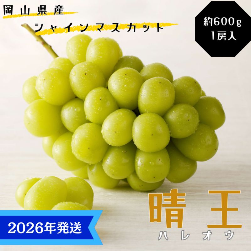 【2026年先行受付】 シャインマスカット 晴王 秀品 約600g 1房 岡山県産 ぶどう 葡萄 ブドウ 御中元 ギフト 御礼 プレゼント 御礼 御祝 御供 果物 くだもの フルーツ
