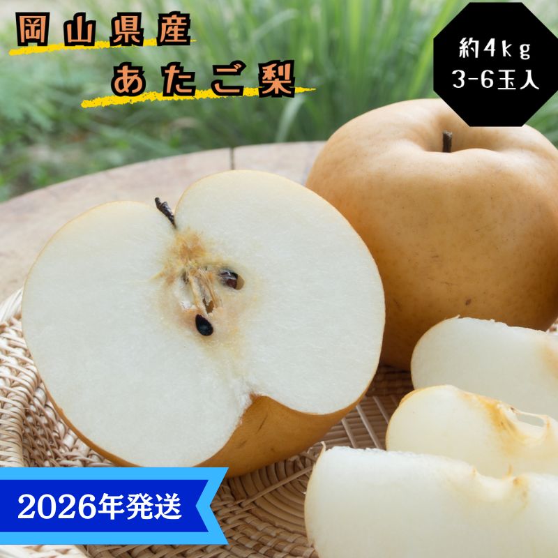 yRʖszy2026Nstz    Gi 4kg(3`6) RY {傫ȗ Ȃ iV Ε Mtg  v[g  j 䋟 ʕ  t[c