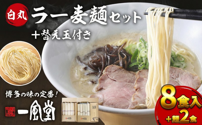 限定　ラーメン【一風堂】 白丸 ラー麦麺セット替え玉付き 8食入＋麺2食 期間限定 替え玉2食付 豚骨ラーメン ラーメン とんこつ