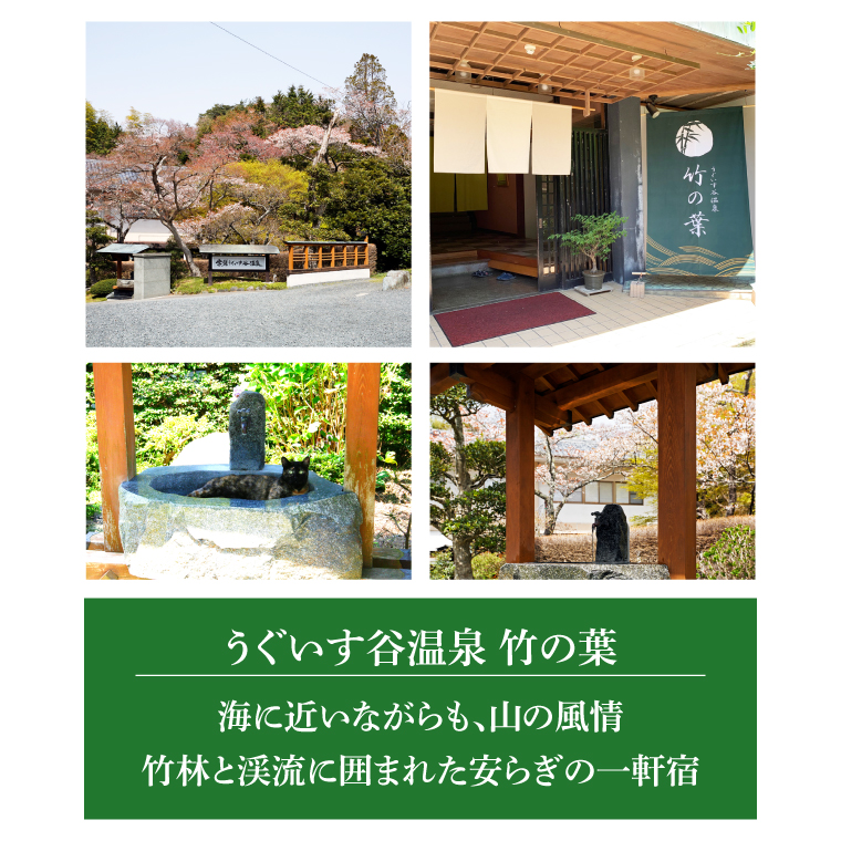 うぐいす谷温泉 竹の葉50,000円分ご宿泊券(CC103)