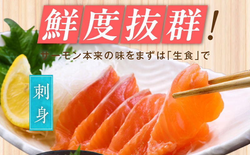 大阪府泉佐野市のふるさと納税 【セゾン限定】お刺身用 サーモン 1kg ブロック 小分け 約250g×4P ポーション 柵 訳あり サイズ不揃い G1859