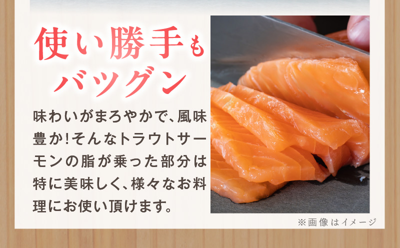 大阪府泉佐野市のふるさと納税 【セゾン限定】お刺身用 サーモン 1kg ブロック 小分け 約250g×4P ポーション 柵 訳あり サイズ不揃い G1859