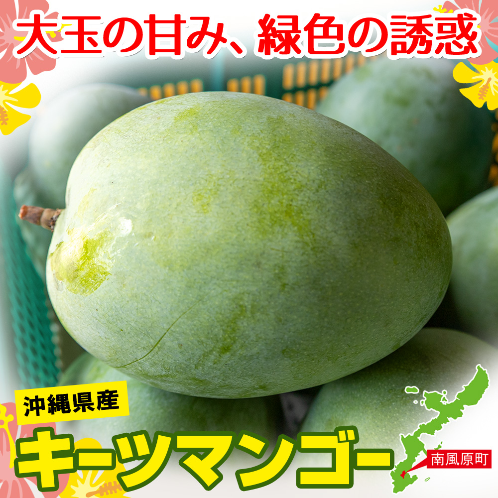 沖縄県南風原町のふるさと納税 【2026年発送】南の果実園　キーツマンゴー2kg