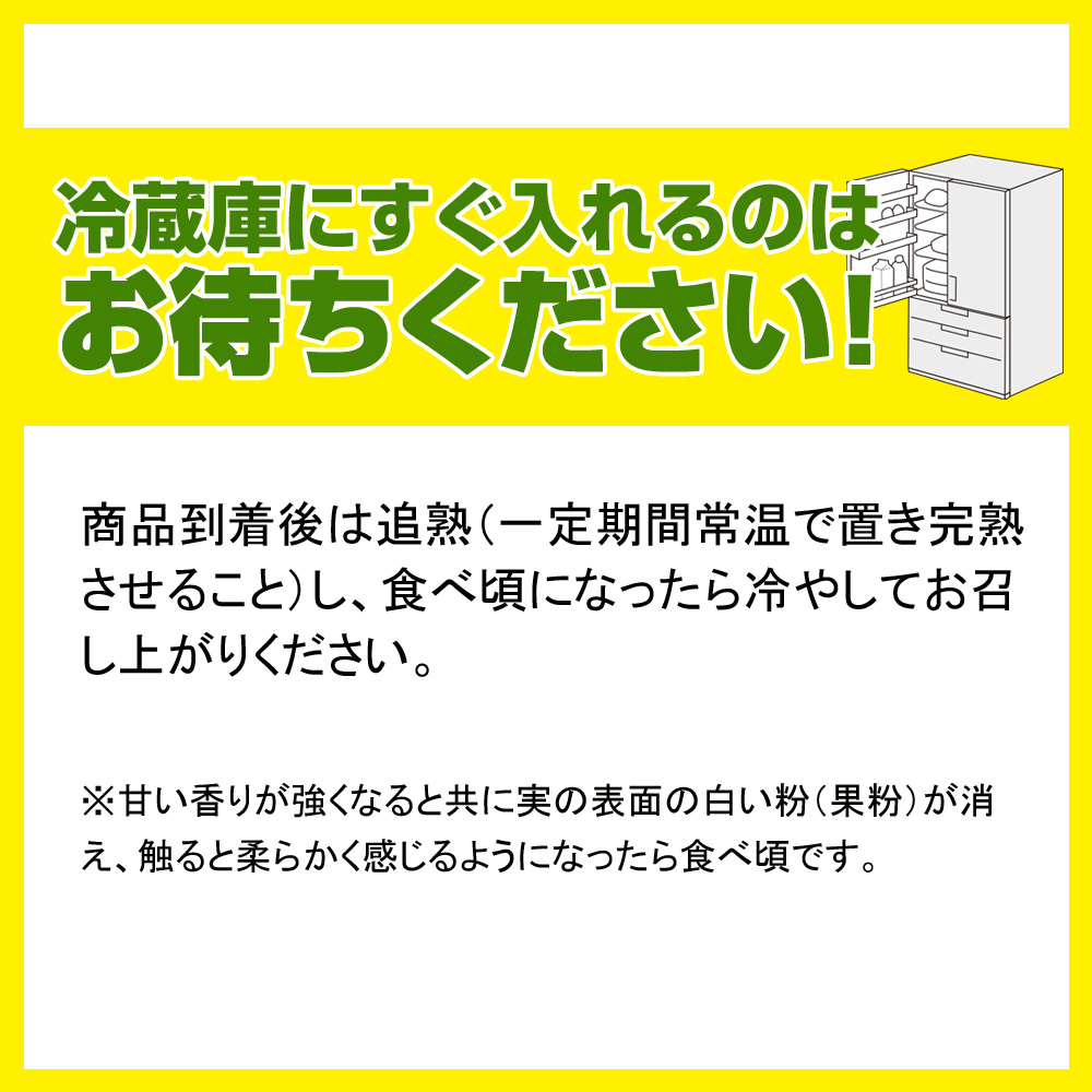 沖縄県南風原町のふるさと納税 【2026年発送】南の果実園　キーツマンゴー2kg