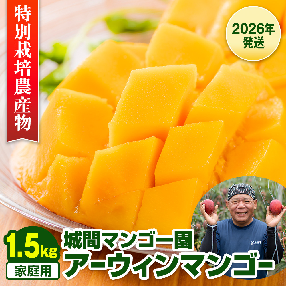 沖縄県南風原町のふるさと納税 【2026年発送】城間マンゴー園　家庭用　アーウィンマンゴー1.5kg　特別栽培農産物