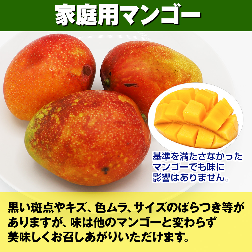 沖縄県南風原町のふるさと納税 【2026年発送】南野園　家庭用　アーウィンマンゴー1.5kg