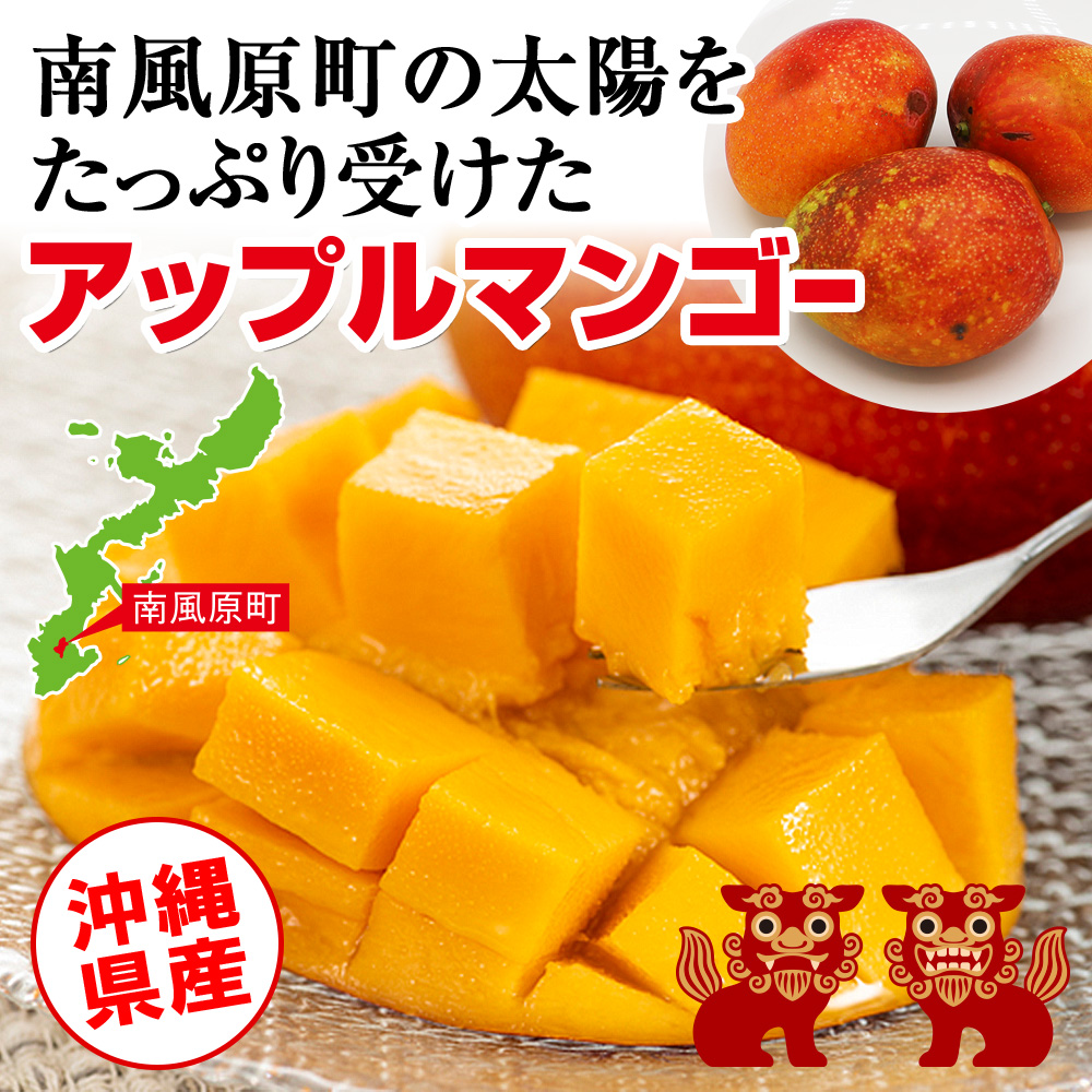 沖縄県南風原町のふるさと納税 【2026年発送】南野園　家庭用　アーウィンマンゴー1.5kg