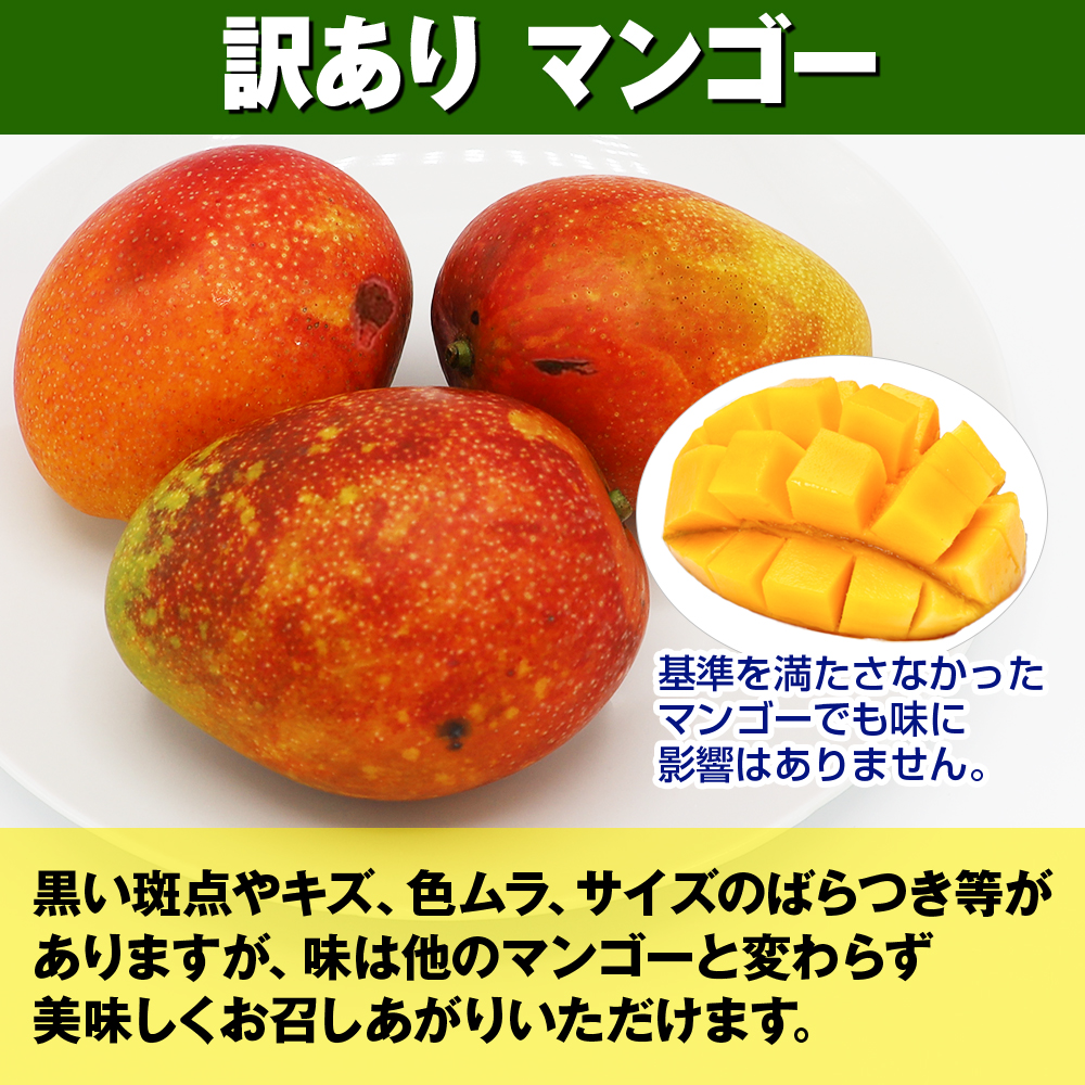 沖縄県南風原町のふるさと納税 【訳あり】2026年発送　金城農園のマンゴー1.5kg
