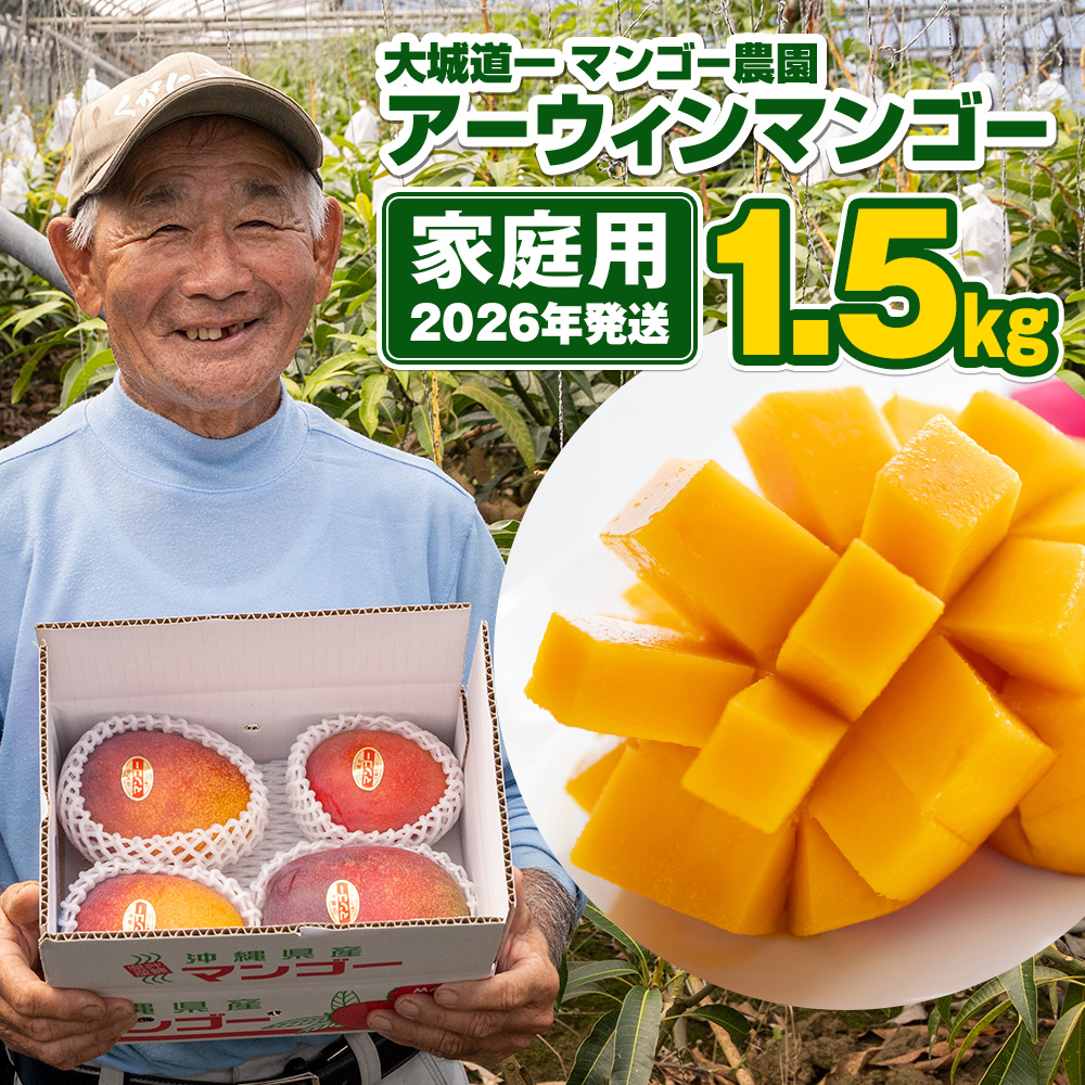 沖縄県南風原町のふるさと納税 【2026年発送】大城道一マンゴー農園のアーウィンマンゴー1.5kg（家庭用）