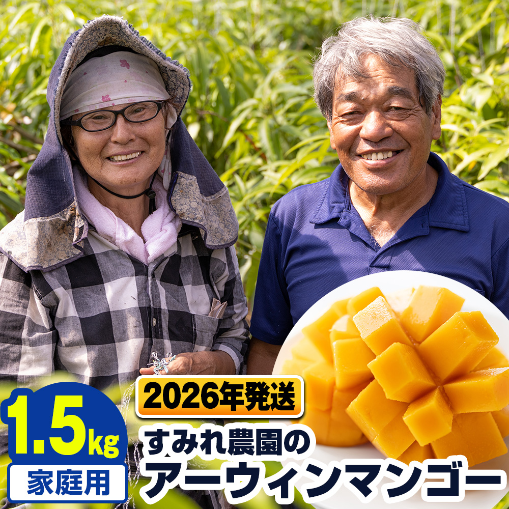 沖縄県南風原町のふるさと納税 【2026年発送】すみれ農園のアーウィンマンゴー家庭用1.5kg
