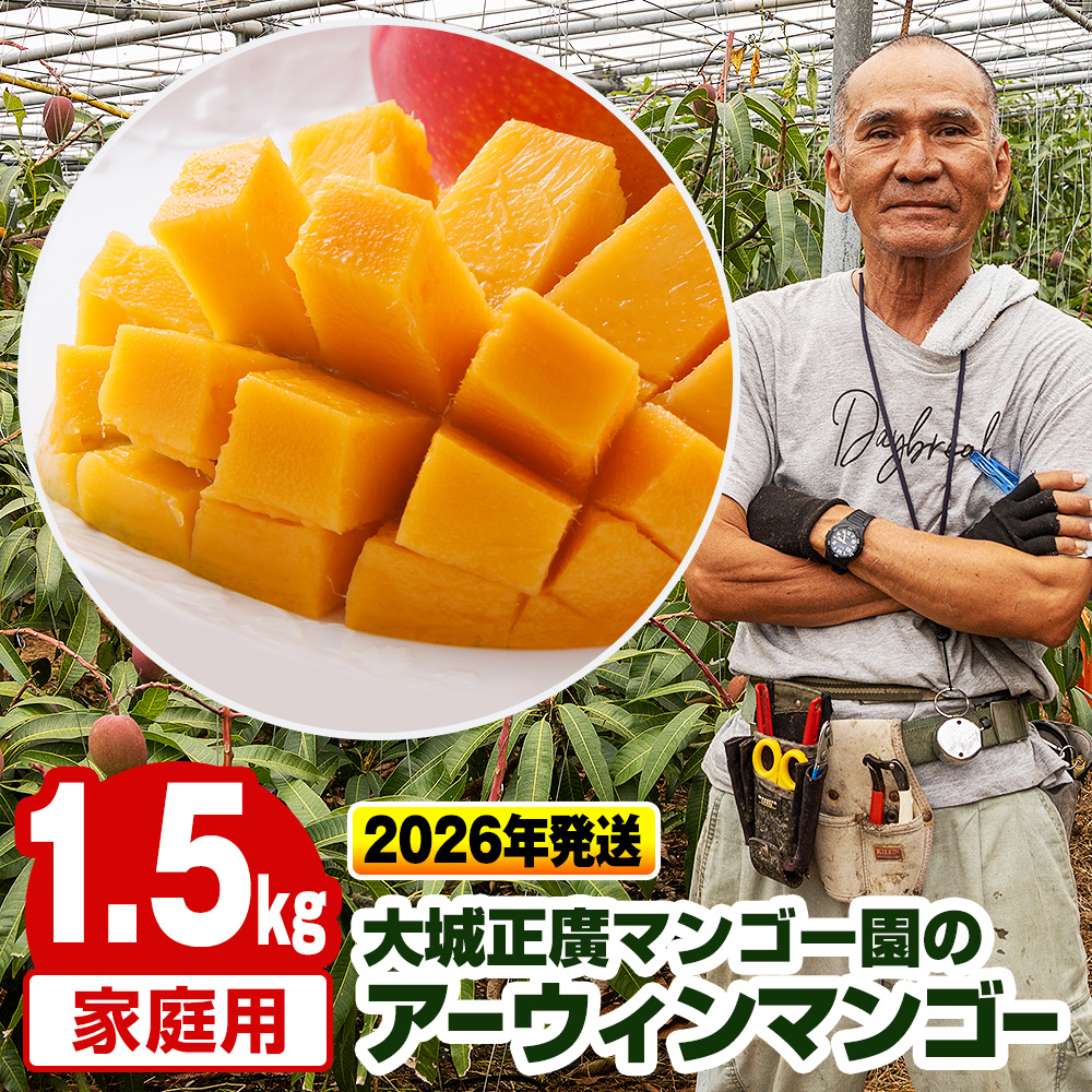 沖縄県南風原町のふるさと納税 【2026年発送】大城正廣マンゴー園のアーウィンマンゴー（家庭用）1.5kg