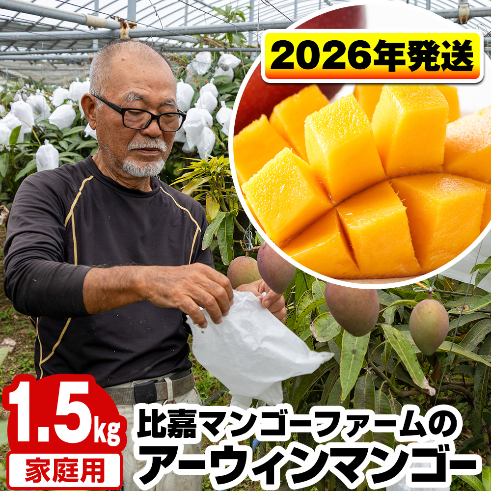 沖縄県南風原町のふるさと納税 【2026年発送】比嘉マンゴーファームのアーウィンマンゴー　家庭用1.5kg