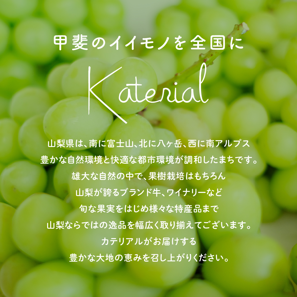 山梨県甲斐市のふるさと納税 【来年（2026年/令和8年）発送＜先行予約＞】 シャインマスカット　2.0kg相当　人気　おすすめ　国産　贈答　ギフト　お取り寄せ　　山梨県産　産地直送　フルーツ　果物　くだもの　ぶどう　ブドウ　葡萄　シャイン　シャインマスカット　新鮮　AD-84