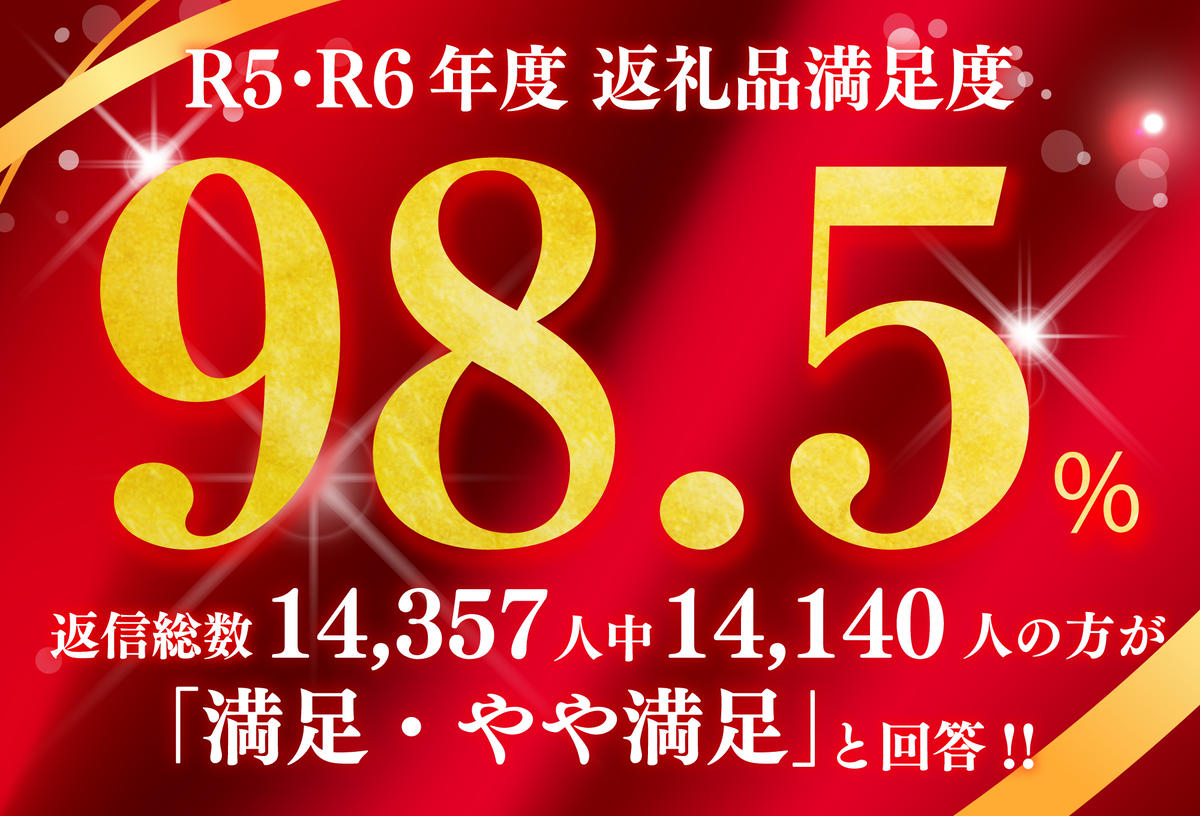 発酵飯10個【100g×10p】【AD24W】
