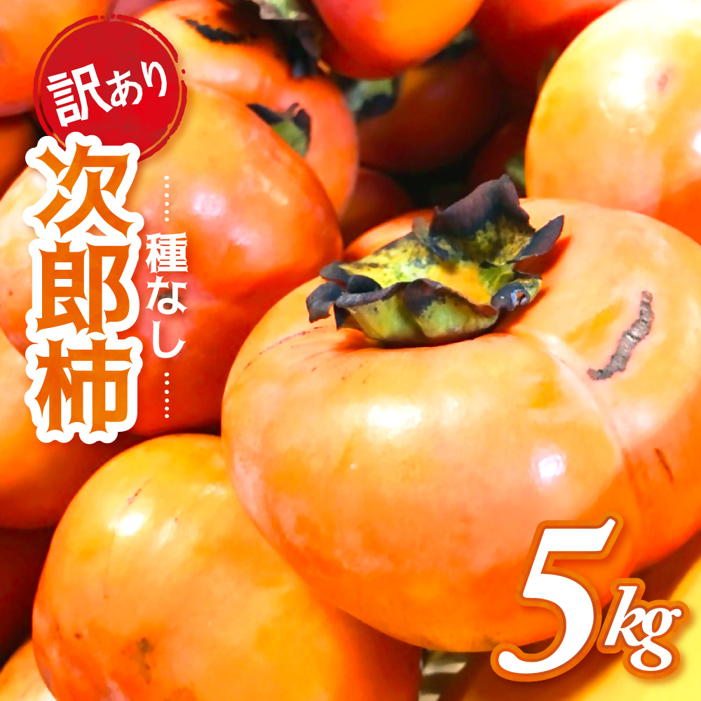 【令和7年産柿/先行予約】《 訳あり 》5