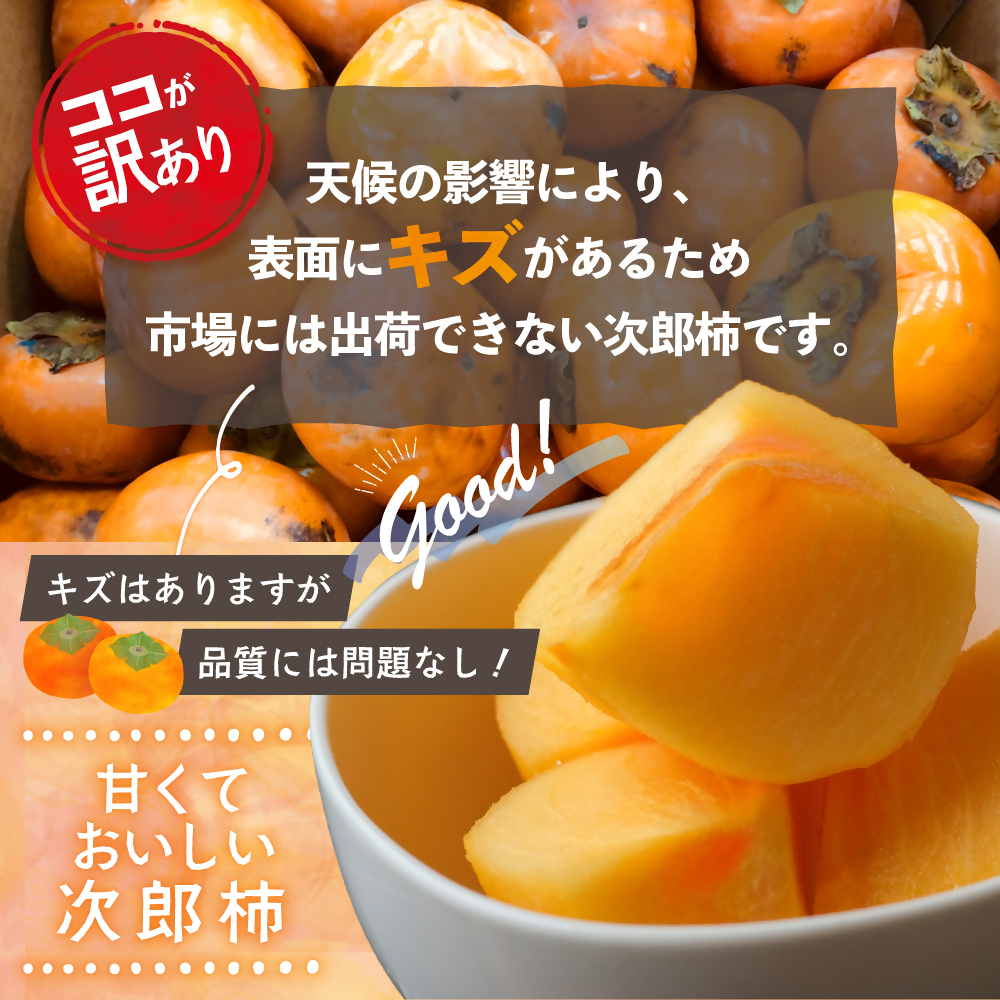 三重県多気町のふるさと納税 【令和7年産柿/先行予約】《 訳あり 》5kg 次郎柿 たねなし 柿 かき フルーツ 家庭用 訳あり 規格外 わけあり 不揃い ふぞろい 種なし 干し柿 先行 先行予約 三重県 多気町 GF-17