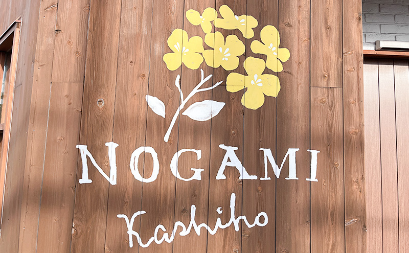 こがね町プリン16個 北海道 滝川市 プリン ぷりん スイーツ おやつ  オヤツ お菓子 おかし 菓子 デザート