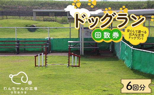 ドッグラン回数券 6回分（6,000円分）体験 ペット 犬 体験チケット チケット F6T-803