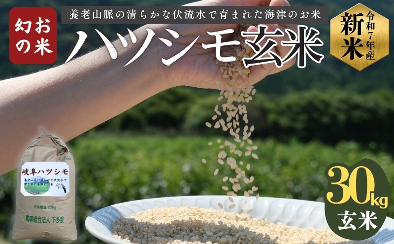 楽天市場】ハツシモ 玄米 30kgの通販 玄米 ハツシモ 30㎏