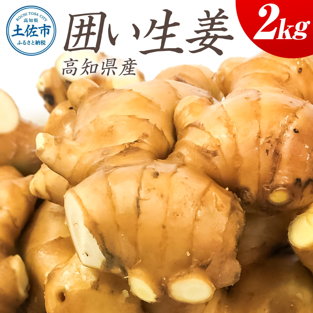 囲生姜 2kg 2キロ しょうが ショウガ 新鮮野菜 野菜 お取り寄せ 美味しい 料理 生姜焼き 薬味 調味料 新鮮 国産 日本産 ジンジャー 常温 配送