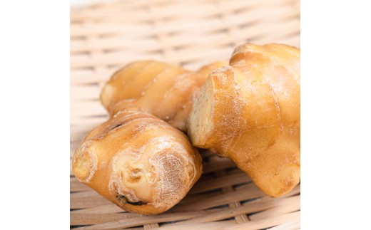 囲生姜 2kg 2キロ しょうが ショウガ 新鮮野菜 野菜 お取り寄せ 美味しい 料理 生姜焼き 薬味 調味料 新鮮 国産 日本産 ジンジャー 常温 配送