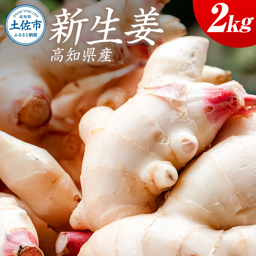 ymysznEXVI 2kg 2L 傤 VEK VN     IĂ Е T_ VN Y {Y WW[ ① z