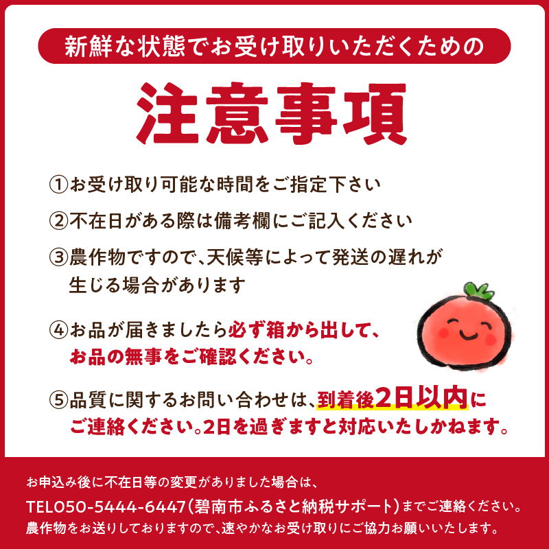 愛知県碧南市のふるさと納税 【2026年度予約分】【予約受付】 たった3ヶ月しか食べられない 幻 フルーツ トマト ファーストトマト 容量 約700g 特に美味しい 3月 〜 5月 限定発送 長田農園 完全木熟栽培 果皮 薄い もっちり食感 甘い リコピン 野菜 碧南市 送料無料 H004-120