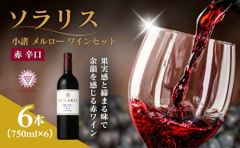 y쌧sz{C \X  [ CZbg 750ml×6{ ԃC }YC   m ʎ Ԃǂ  쌧 s
