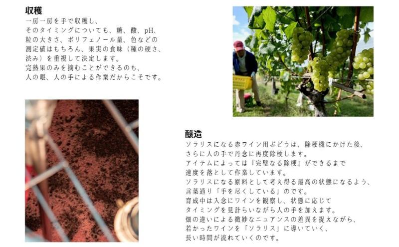 日本ワイン ソラリス 小諸 メルロー ワインセット 750ml×6本 赤ワイン マンズワイン 酒 お酒 洋酒 果実酒 ぶどう酒 長野 長野県 小諸市