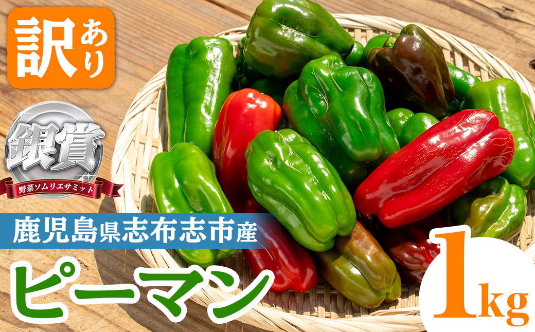 ぴーまんさん専用　火床 ぴーまんさん専用 ぴーまんさん専用 火床 Amazon.co.jp: 広電