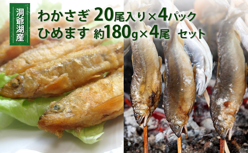 【北海道洞爺湖町】洞爺湖産わかさぎ(20尾入り×4P)・ひめます4尾(約120〜140g/1尾)セット 北海道産 ワカサギ わかさぎ 川魚 魚介類 産地直送 冷凍 お取り寄せ グルメ 料理 天ぷら フライ とうやマルシェ 北海道 洞爺湖町