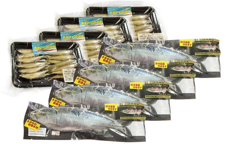 洞爺湖産わかさぎ(20尾入り×4P)・ひめます4尾(約120～140g/1尾)セット 北海道産 ワカサギ わかさぎ 川魚 魚介類 産地直送 冷凍 お取り寄せ グルメ 料理 天ぷら フライ とうやマルシェ 北海道 洞爺湖町