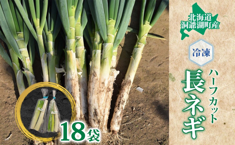 役に立ちます 冷凍カット野菜 長ねぎ1/2分×18袋 長ネギ 冷凍 カット 野菜 小分け 時短 弁当 簡単 調理 便利  国産 北海道 洞爺湖町