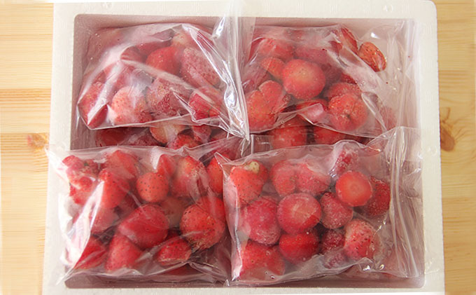 役に立ちます 冷凍カット果物 いちご100g×6袋 果物類 苺 イチゴ 冷凍 カット 果物 小分け 時短 弁当 簡単 調理 便利  国産 北海道 洞爺湖町