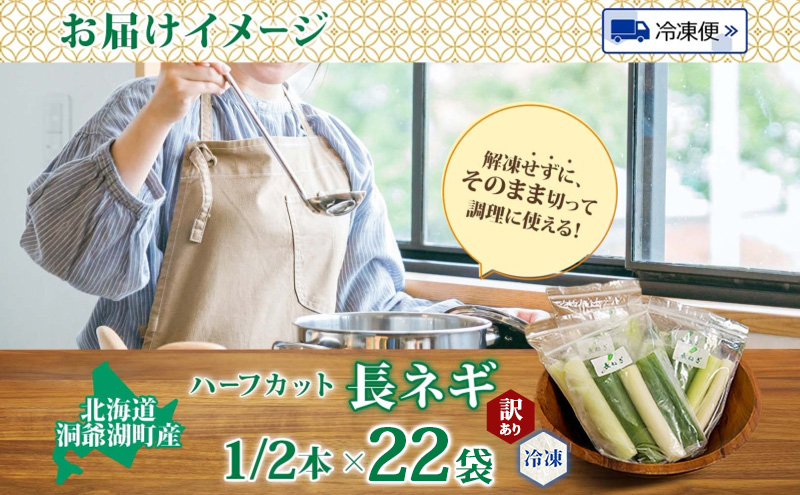 【大容量】役に立ちます 冷凍カット野菜 長ねぎ 訳あり 長ねぎ11本分(1/2本×22袋相当) 長ネギ 冷凍 カット 野菜 小分け 時短 弁当 簡単 調理 便利  国産 北海道 洞爺湖町