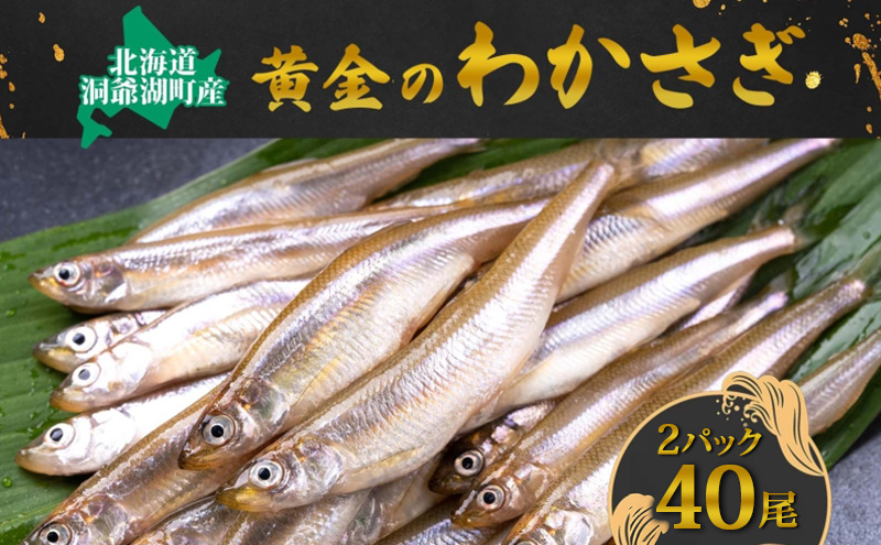 洞爺湖町産 黄金のわかさぎ 20尾×2P 計40尾 北海道産 ワカサギ わかさぎ 川魚 魚介類 産地直送 冷凍 お取り寄せ グルメ 料理 天ぷら フライ とうやマルシェ 北海道 洞爺湖町