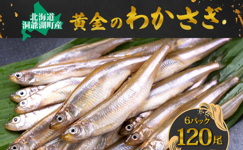 ykCΒzΒY ̂킩 20×6P v120 kCY JTM 킩 싛  Yn Ⓚ  O  VՂ tC Ƃ}VF kC Β