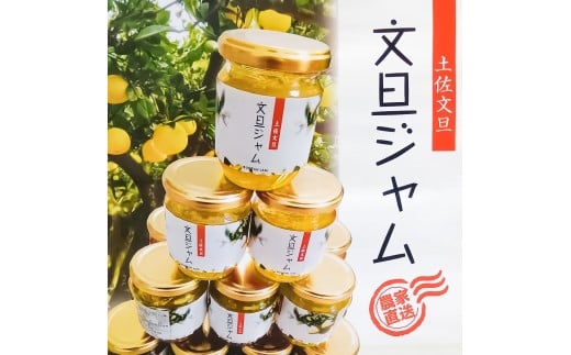 贅沢果肉たっぷり文旦ジャム 土佐文旦 文旦 3瓶 ぶんたん ブンタン フルーツ 柑橘 果物 くだもの 柑橘類 パン トースト ヨーグルト お取り寄せ 国産 常温 配送