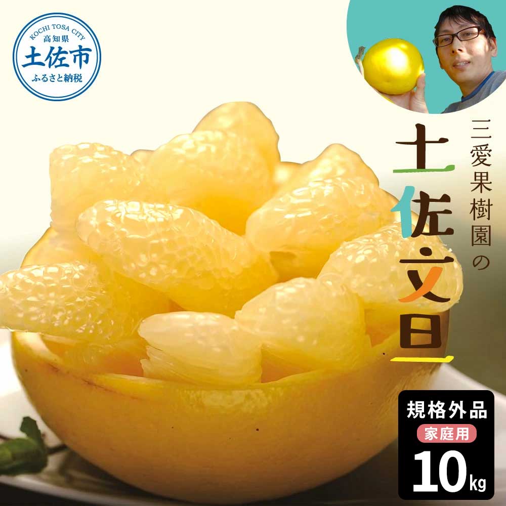 【先行予約】文旦 約10kg 10キロ L～4Lサイズ 土佐文旦 みかん 柑橘 ぶんたん ブンタン 果物 フルーツ デザート おやつ 三愛果樹園の土佐文旦 おいしい 美味しい 規格外品 お取り寄せ 常温 配送