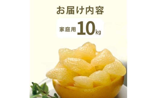 【先行予約】文旦 約10kg 10キロ L～4Lサイズ 土佐文旦 みかん 柑橘 ぶんたん ブンタン 果物 フルーツ デザート おやつ 三愛果樹園の土佐文旦 おいしい 美味しい 規格外品 お取り寄せ 常温 配送