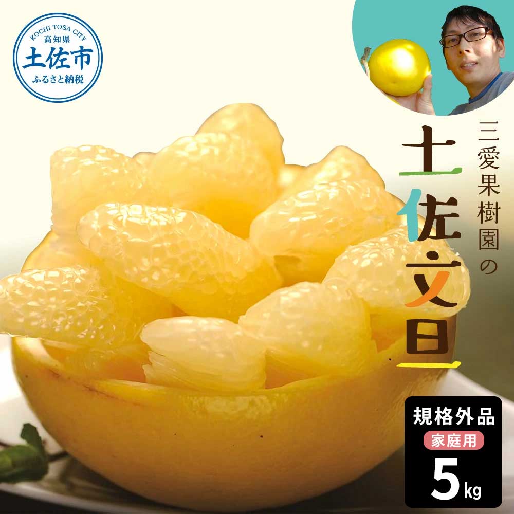 【先行予約】文旦 約5kg 5キロ L～4Lサイズ 土佐文旦 みかん 柑橘 ぶんたん ブンタン 果物 フルーツ デザート おやつ 三愛果樹園の土佐文旦 おいしい 美味しい 規格外品 お取り寄せ 常温 配送