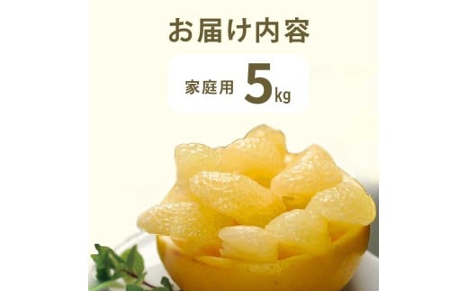 【先行予約】文旦 約5kg 5キロ L～4Lサイズ 土佐文旦 みかん 柑橘 ぶんたん ブンタン 果物 フルーツ デザート おやつ 三愛果樹園の土佐文旦 おいしい 美味しい 規格外品 お取り寄せ 常温 配送