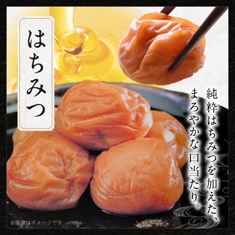 SF1030_紀州南高梅　二段重箱（はちみつ・昔しそ）