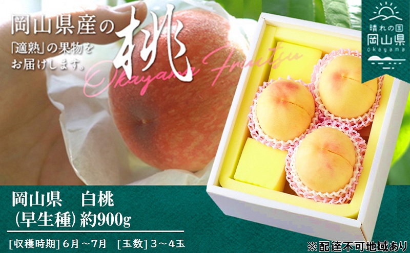 桃 2026年 先行予約 桃 早生種 約900g 3～4玉 もも モモ 岡山県産 国産 フルーツ 果物 ギフト