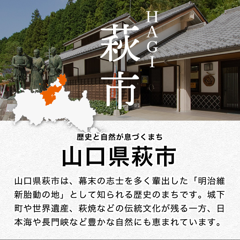 山口県萩市のふるさと納税 城下町・萩の地ビール／チョンマゲビール　6本セット(3種×2本)　｜HG000033-B