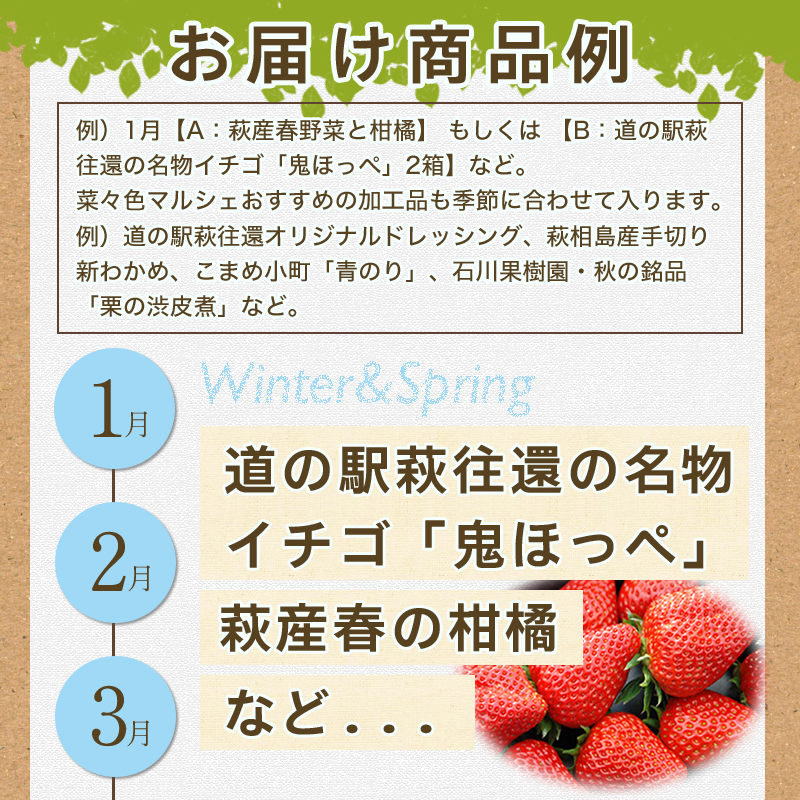 山口県萩市のふるさと納税 野菜ソムリエプロselect／萩・季節の食材定期便　隔月発送・3回コース｜HG0T0032-B