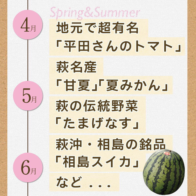 山口県萩市のふるさと納税 野菜ソムリエプロselect／萩・季節の食材定期便　隔月発送・3回コース｜HG0T0032-B