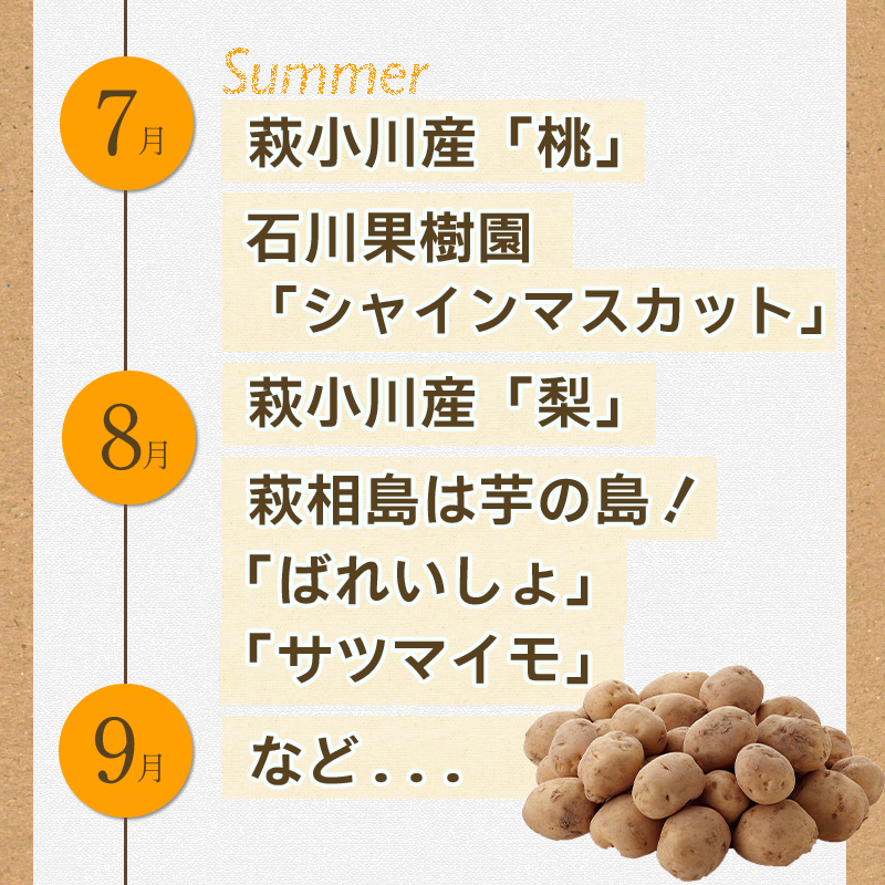 山口県萩市のふるさと納税 野菜ソムリエプロselect／萩・季節の食材定期便　隔月発送・3回コース｜HG0T0032-B